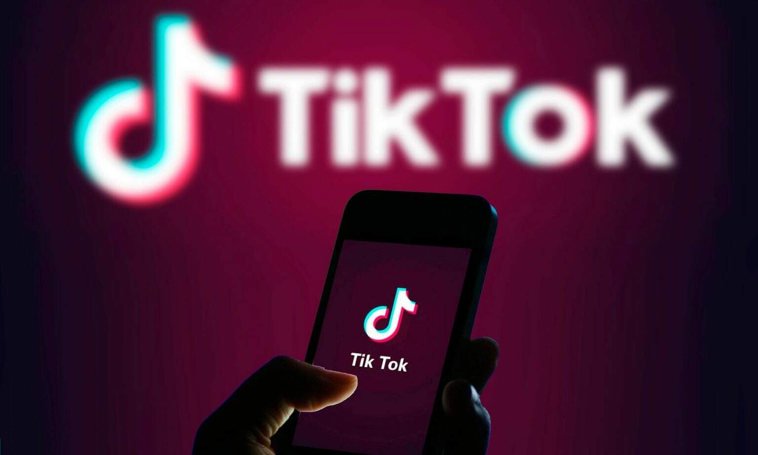 paradise tradução ao vivo brasil｜Pesquisa do TikTok