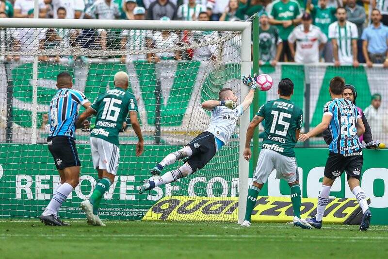 Com transmissão da TV Palmeiras, Verdão encara Grêmio pelo